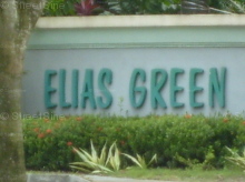 Elias Green #1064572
